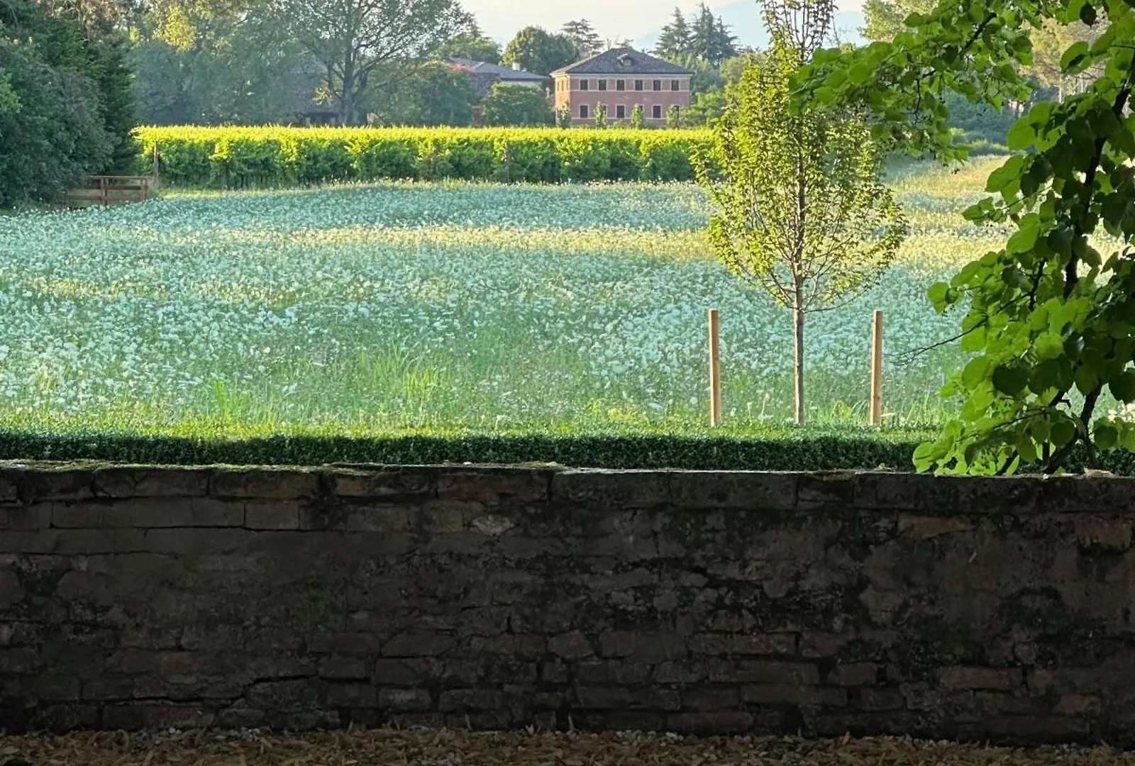Foresteria Di Villa Tiepolo Passi Treviso 0*,